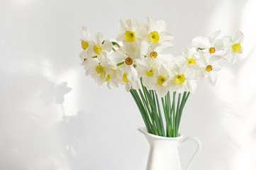 Bouquet of white narcissus