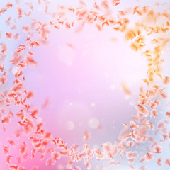 Obraz na płótnie Canvas Sakura flying downwind petals on wind. EPS 10 vector