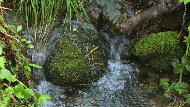 Running stream water