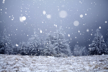 Trees covered with hoarfrost and snow in winter mountains - Christmas snowy backgroundic holiday background