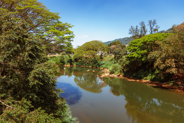Panoramic view of Royal Botanical King Gardens, Peradeniya, Sri Lanka. Alley, Lake and river