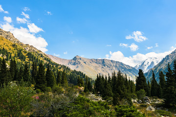 Fototapeta na wymiar View of the mountains and the Big Almaty lake. Kazakhstan. Tien-Shan Mountains