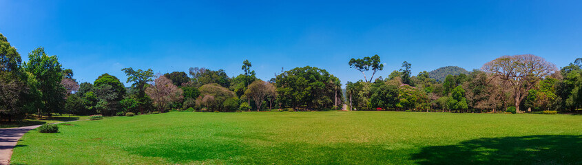 Kandy, Sri Lanka - 5 February 2017: Panoramic view of Royal Botanical King Gardens, Peradeniya, Sri Lanka