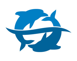 blue pisces dolphin fish nautical marine life image animal