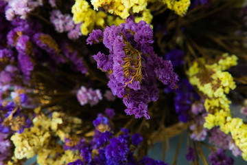 Fototapeta na wymiar Close up of blooming flowers selective focus