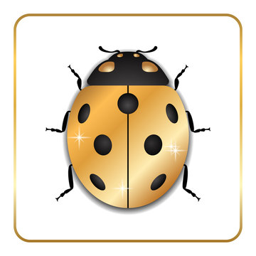 Ladybug gold insect small icon. Golden metal lady bug animal sign, isolated on white background. 3d volume bright design. Cute shiny jewelry ladybird. Lady bird closeup beetle Vector illustration