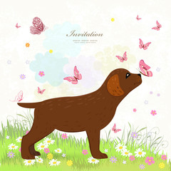 dog hunter with butterflies in rustic landscape for your design