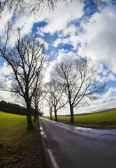 eine schmale Landstrasse im Land Brandenburg ( Deutschland )