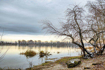 View of  willow trees and poplars close to the Dnieper River in Kiev during a cold and clear winter afternoon