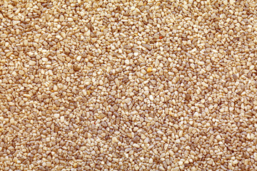 Background of smooth pebbles on the beach
