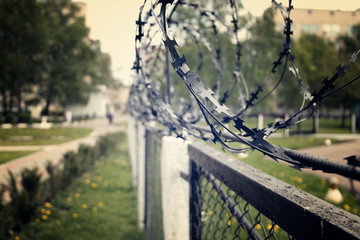 Barb wire captivity prison freedom concept.