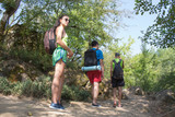 Hiker trekking on the trail in a forest. group tourists exploring nature walking through the woods