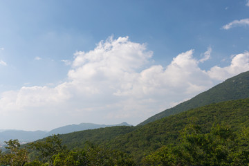 Landscape with a tropical forest on a hillside and a blue sky on the island of Hainan