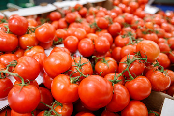 tomatoes on the counter market