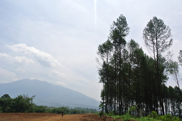 Fototapeta premium Landscape photography of mountain view