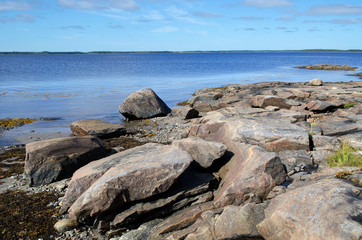 Vegetation and stones on the bank of the White sea