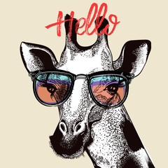 Fashion illustration with cute giraffe in hipster glasses