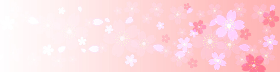 桜の花びらが舞う