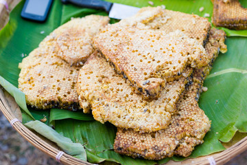 Thai alive worms in honeycomb