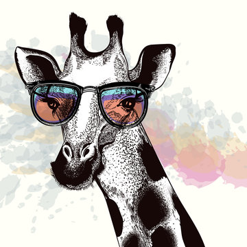 Fashion illustration with giraffe in hipster glasses