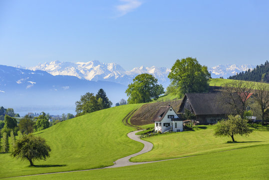 idyllische Landschaft am Bodensee
