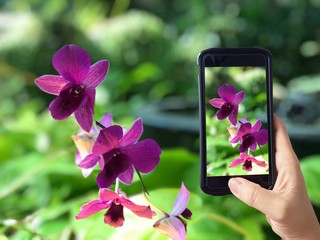 hand select on smartphone use wireless technology send data to another device