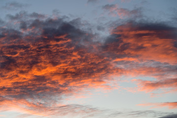 Altocumulus clouds at sunset