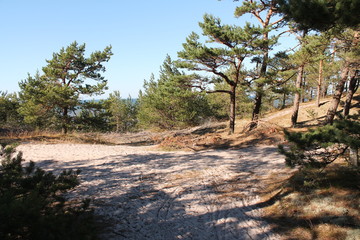 beautiful nature photos of the unique panorama of Debki a small fishing village on the Polish Baltic Sea coast polish baltic sea