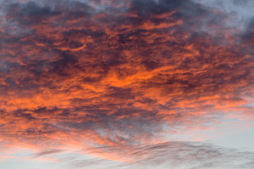 Altocumulus clouds at sunset