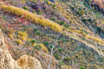 details of badlands