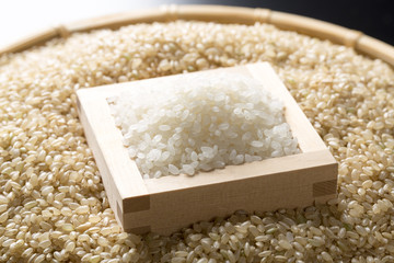 白米と玄米