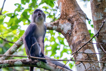 Scenic landscape of autumn forest