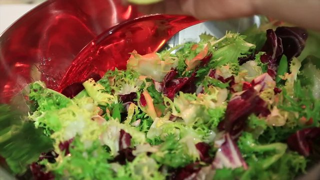 Fresh lettuce salad