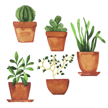 Set of doodle home plants painted by watercolor. Hand drawn illustration.