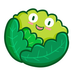 Funny and cute green cabbage laughing - vector.