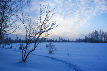 Fototapeta na wymiar Winter landscape in a countryside.