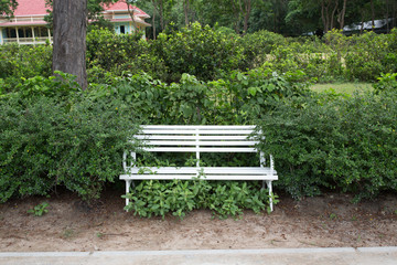 chair outdoor nature