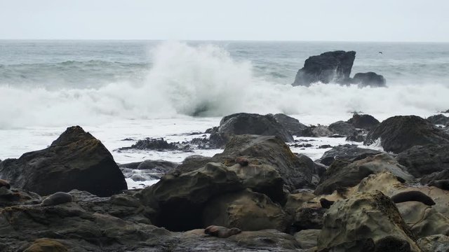 NEW ZEALAND – MARCH 2016 : Video shot of beach along East Coast road with waves in view
