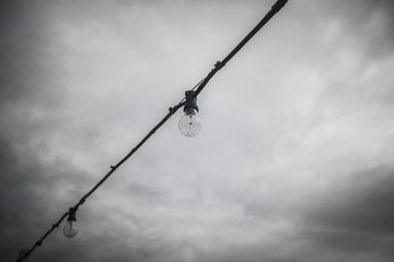 Black and white bulb lights