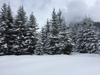 Naklejka premium Winter