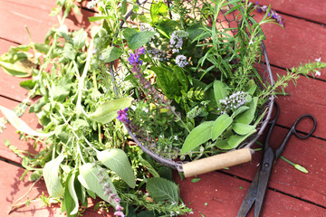 Kräuterkorb aus dem Garten