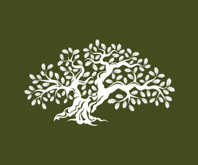 Huge and sacred oak tree silhouette logo badge isolated on green background.