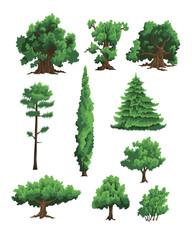 Set of vector illustrations of trees