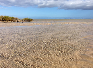 Obraz premium Ebbe in der Lagune Sotavento auf Fuerteventura
