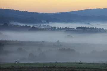 Fields and meadows under early morning fog - Podkarpacie region, Lesser Poland province, Poland, near cities of Rzeszow and Krosno - obrazy, fototapety, plakaty