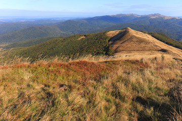 Grassy meadow slopes of the Polonina Carynska hill in Bieszczady Mountains in South East Poland - Bieszczadzki National Park. Bukowe Berdo; Tarnica and Tarniczka hills in the background.