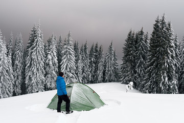 Green tent and tourist against the backdrop of snowy pine tree forest. Amazing winter landscape. Tourists camp in high mountains. Travel concept
