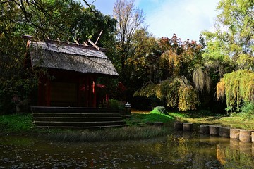 Naklejka premium Garden pergola, pond with pillars, surrounded by cherry trees and willows in japanese pavilion of botanical garden during autumn season