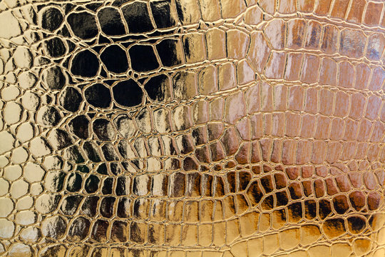 Gold Crocodile Skin Texture Background.