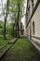Beautiful green interior garden near the building